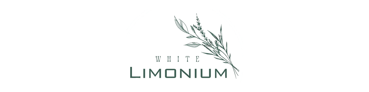 White Limonium