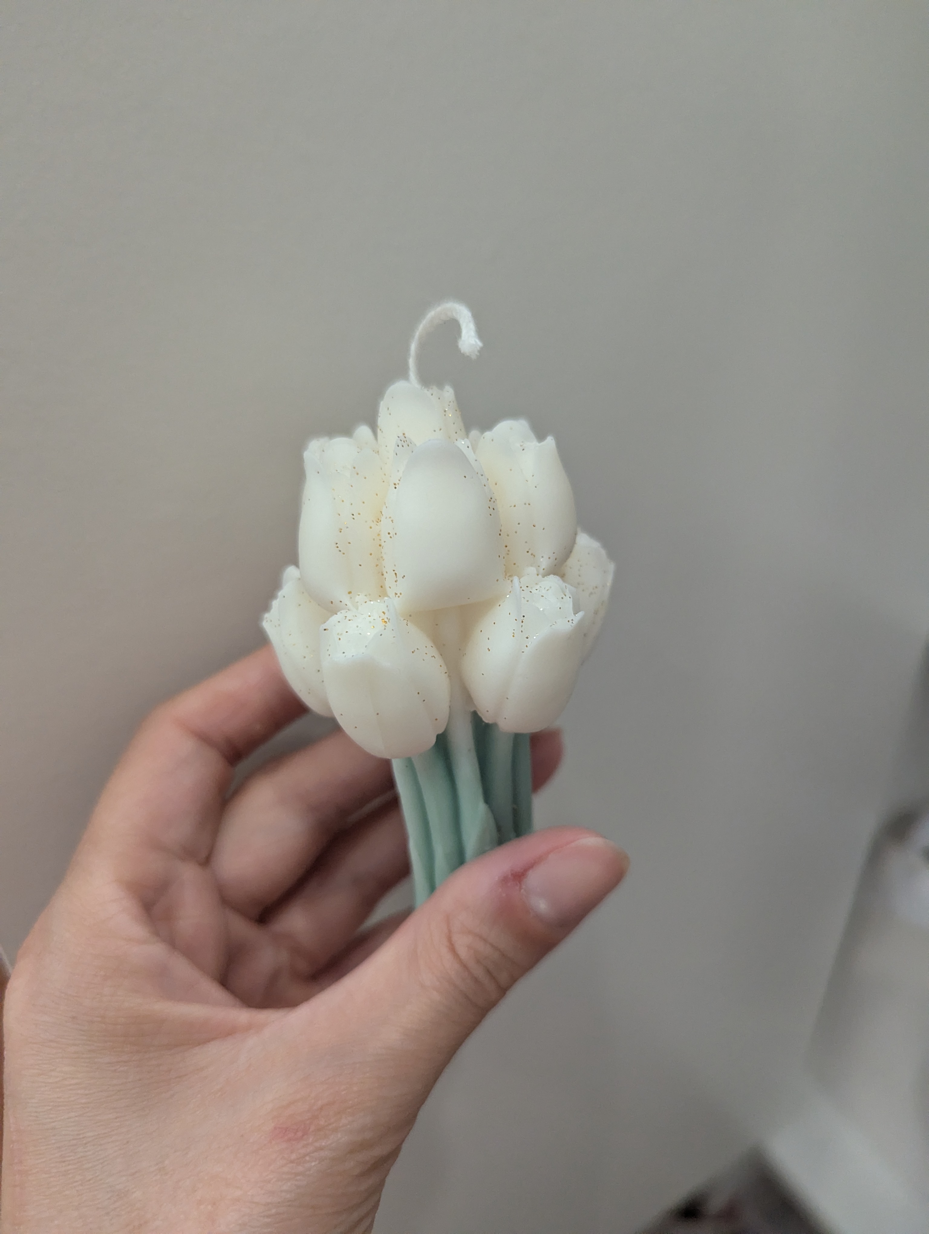 Vela tulipas